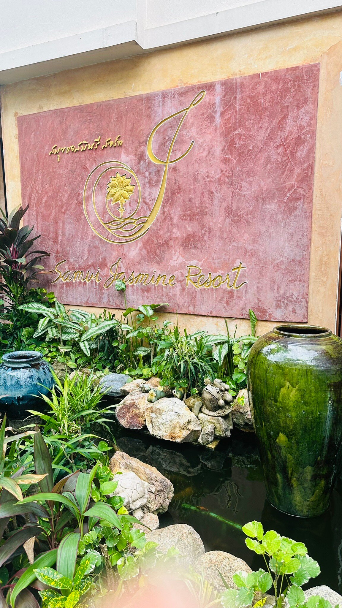茉莉度假村-官方