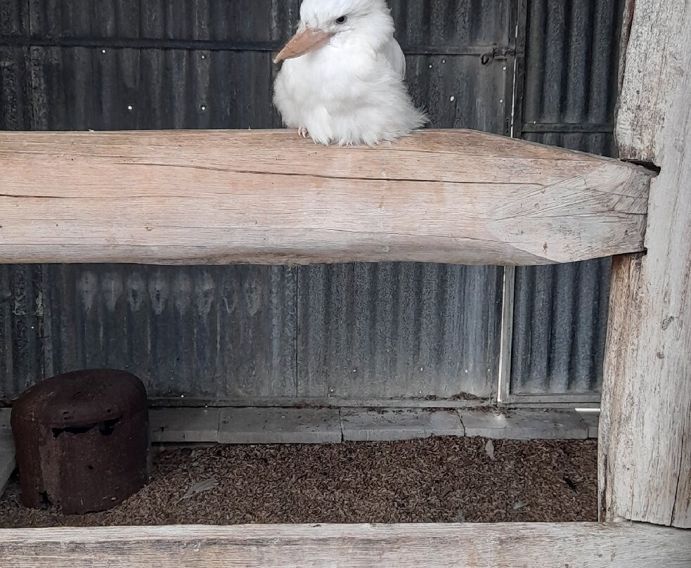 Hunter Valley Wildlife Park-Nulkaba必去景点