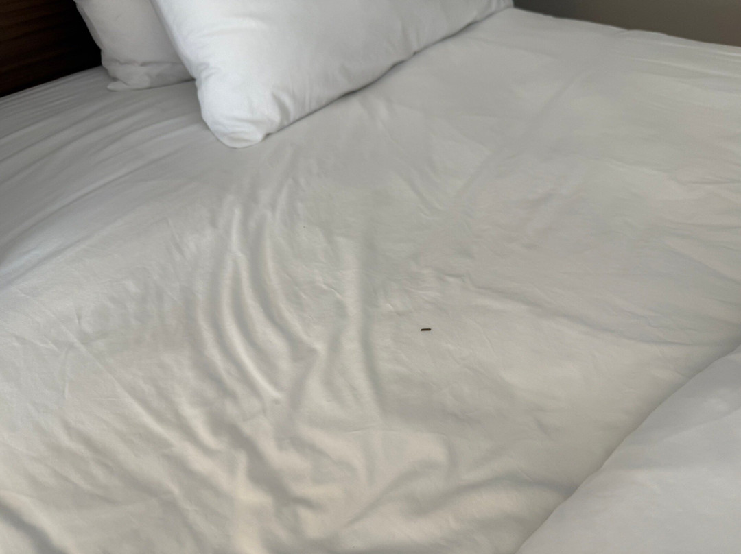 Holiday Inn Express & Suites Greenville - Taylors by IHG主图