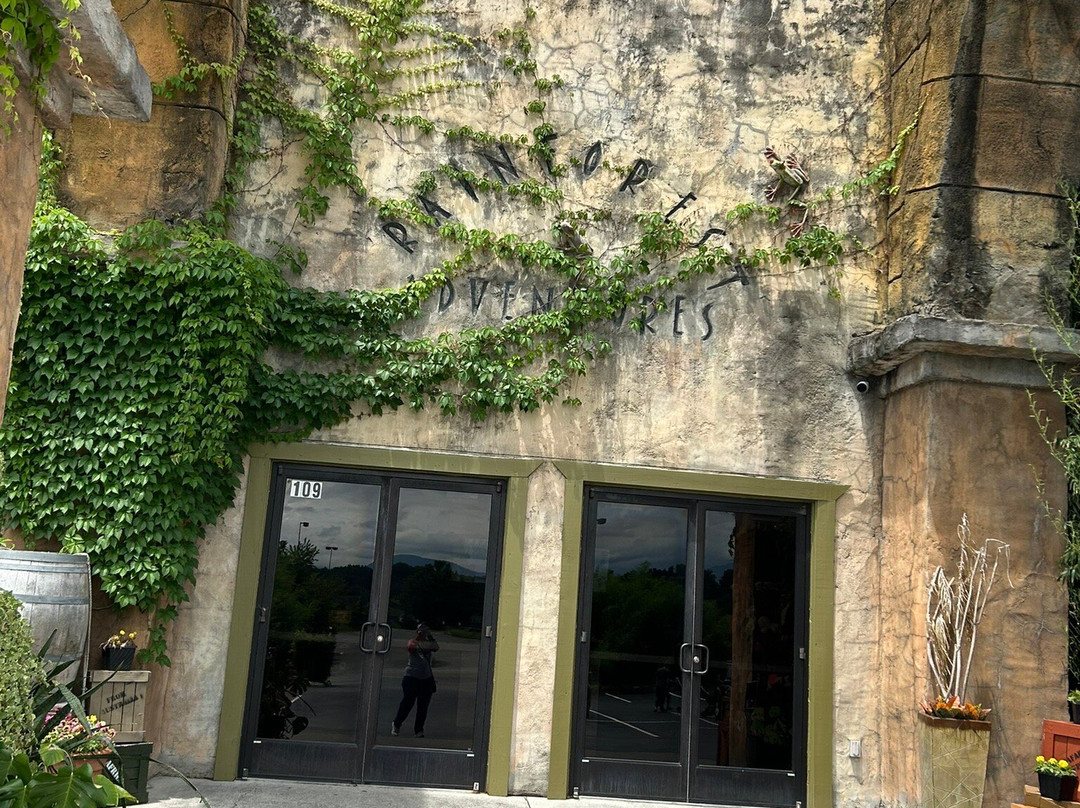 Rainforest Adventures-塞维尔维尔必去景点