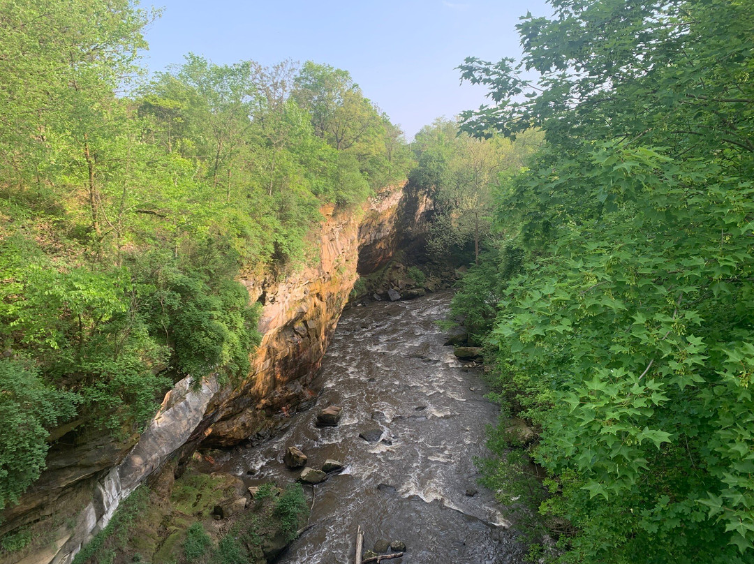 Sheraton Suites Akron Cuyahoga Falls主图