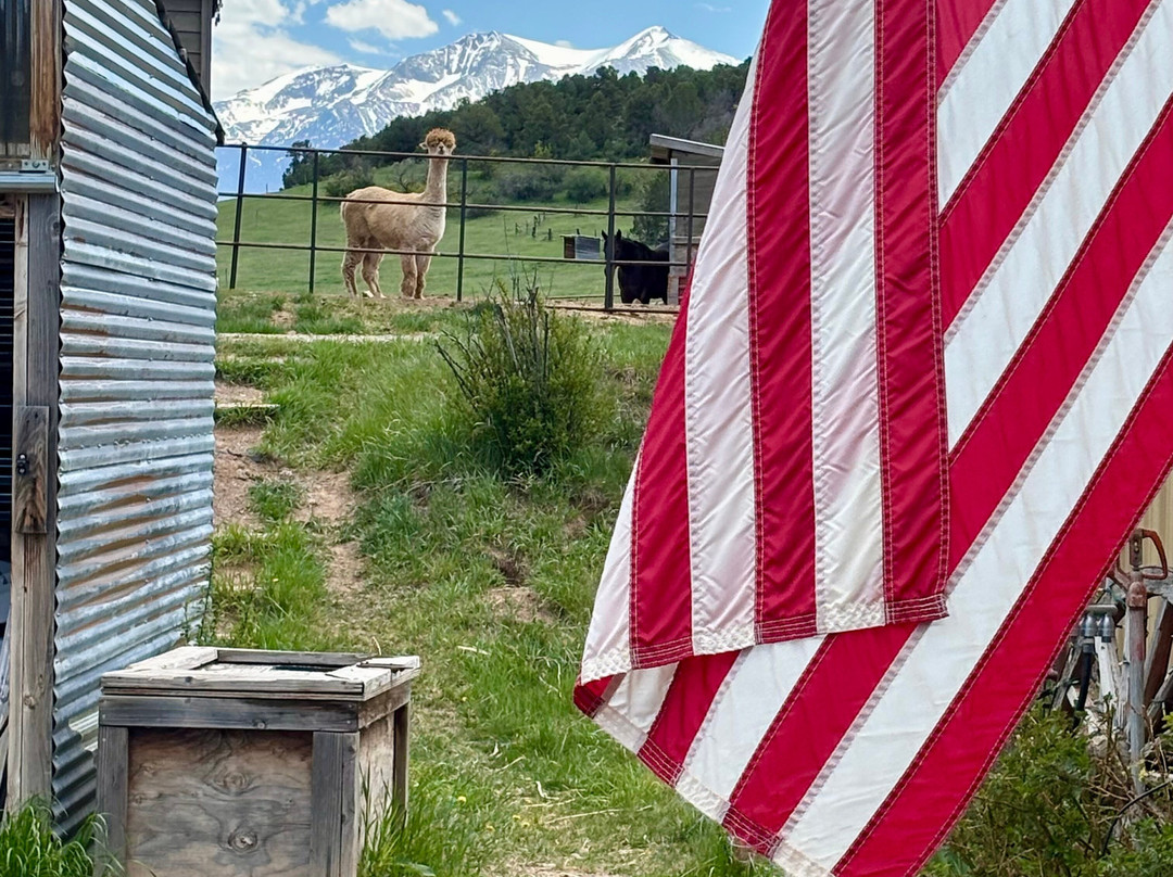 Cedar Ridge Ranch-卡本代尔必去景点