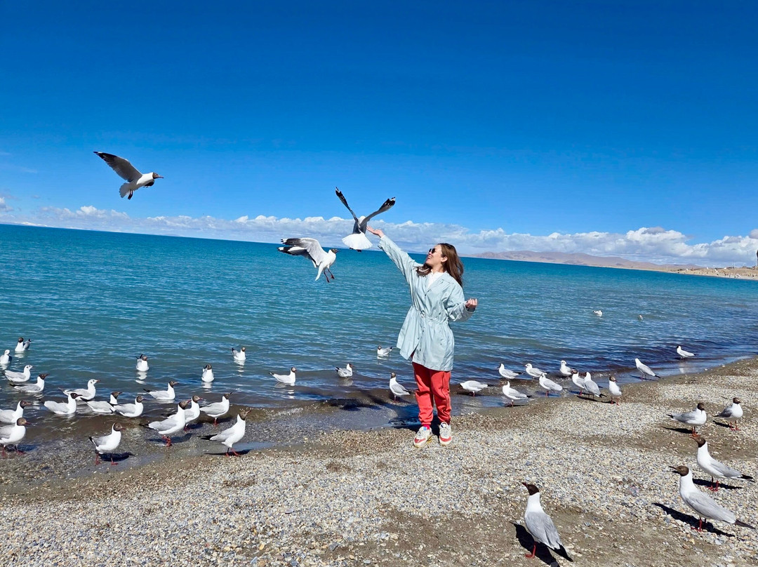 Tibet Ctrip Travel Service-TCTS-拉萨市必去景点