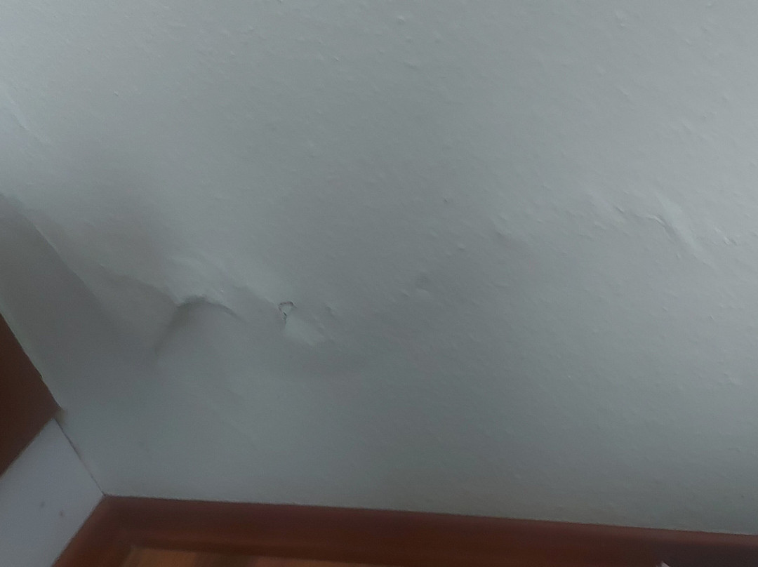 祖姆本奈迪克汀弗拉尔酒店主图