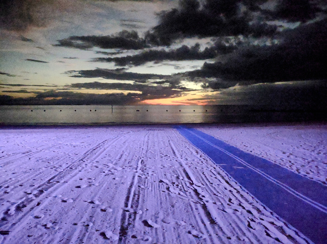 Crystal River-克里斯特尔里弗必去景点