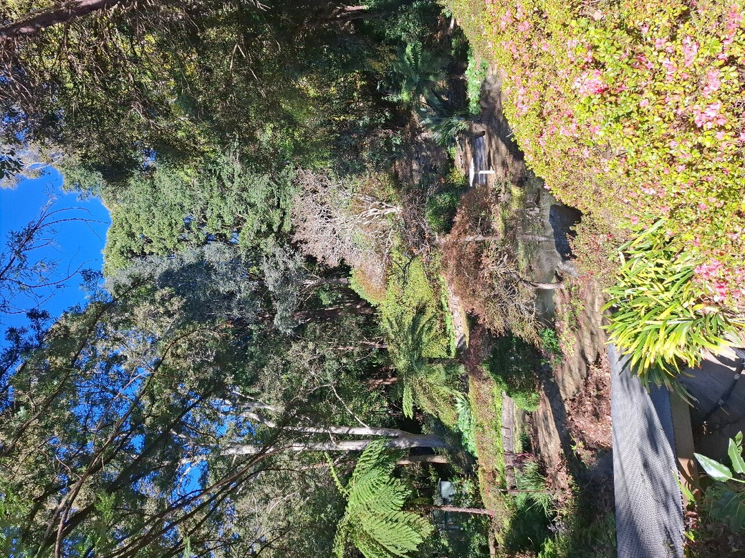 Illawarra Rhododendron And Rainforest Gardens-Mount Keira必去景点