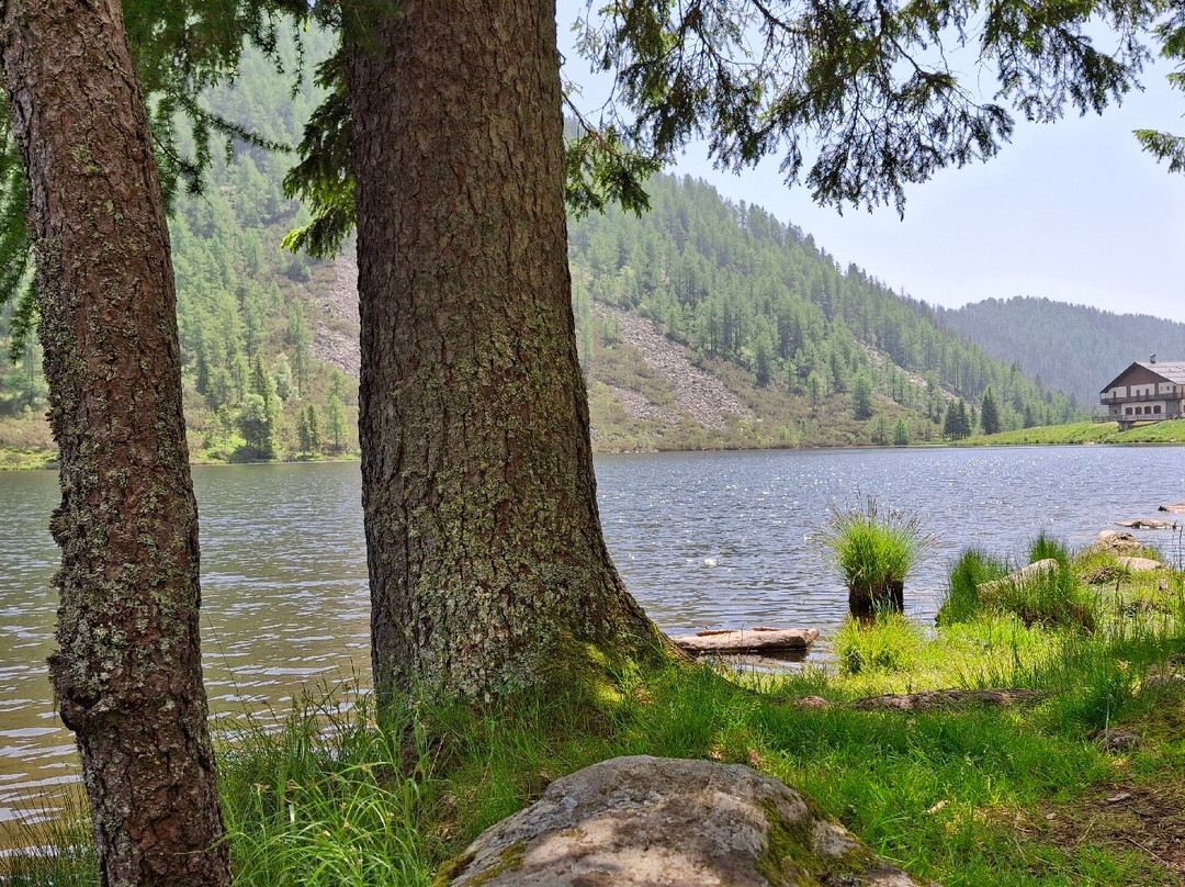 Lago di Calaita景点图片