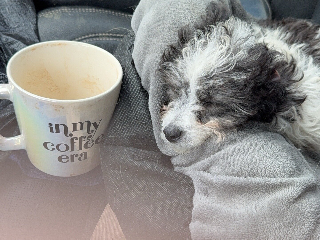 My Place Hotel-Twin Falls, ID主图