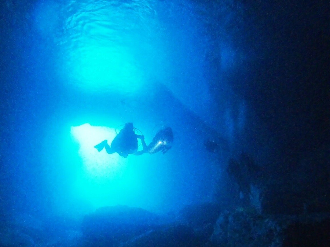 Bubbles Dive Centre-Marsalforn必去景点