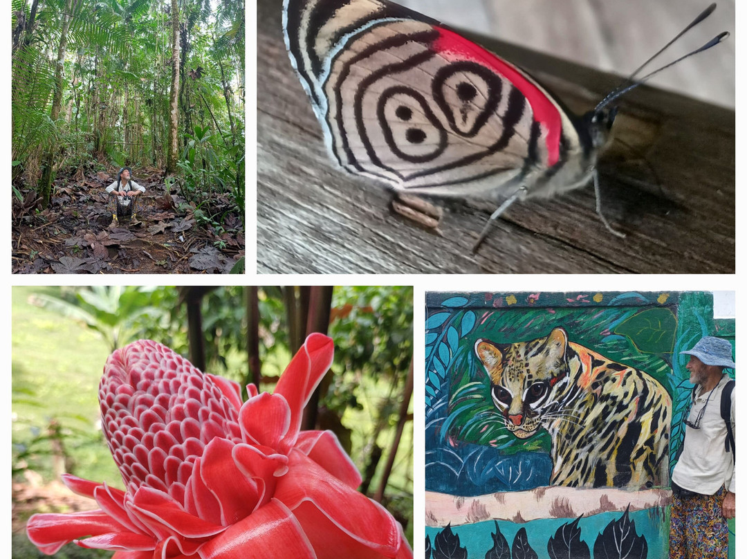 Yellow House Hiking Trails-明多必去景点