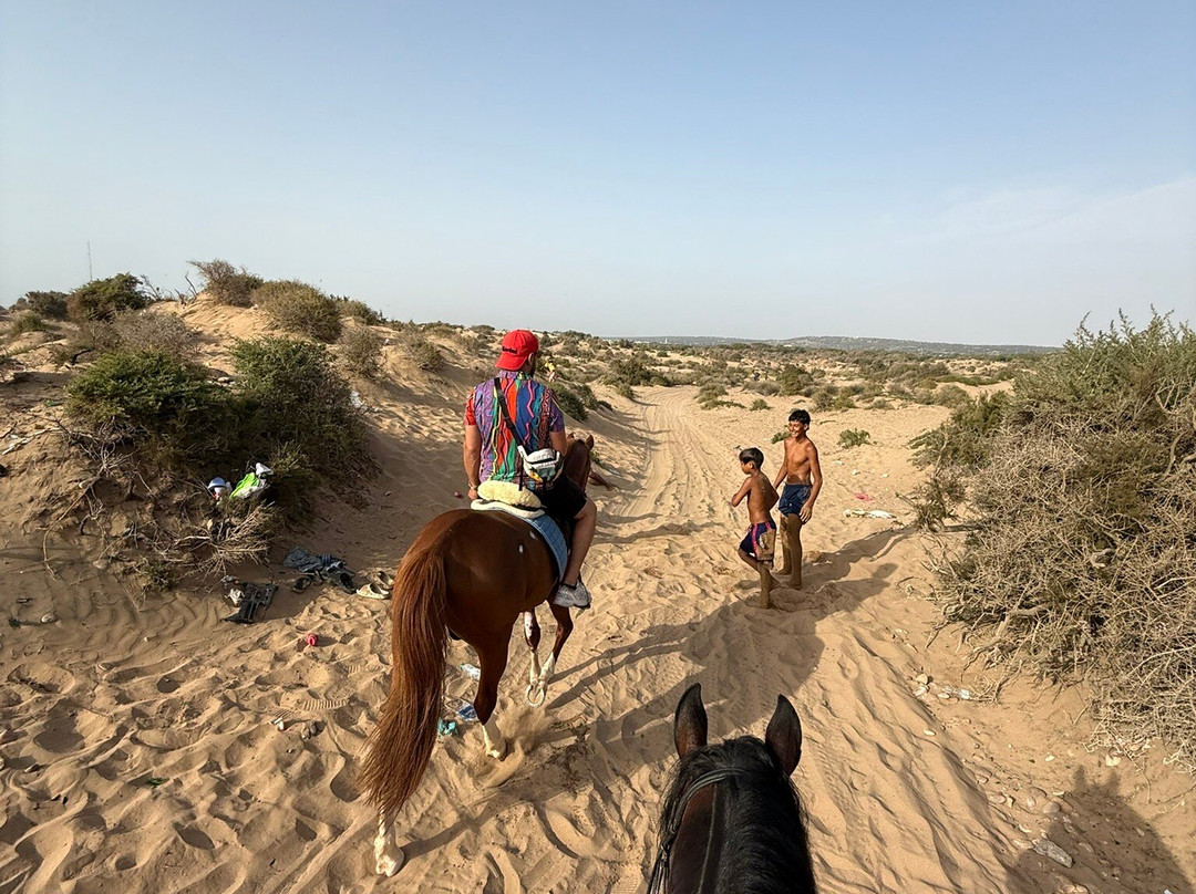 Mogador Horse-Diabat必去景点