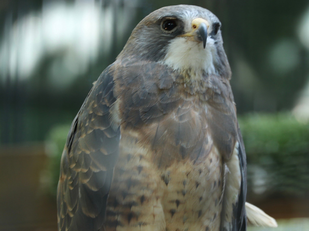 Bay Beach Wildlife Sanctuary-格林贝必去景点