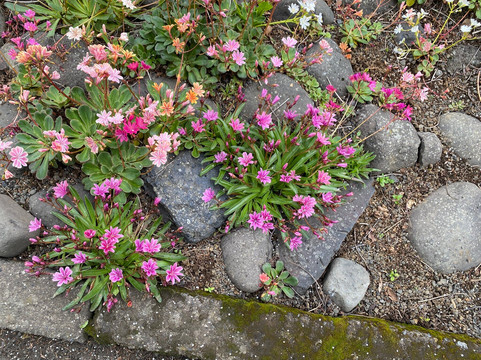 Vilholdt Rejser ApS-雷克雅未克必去景点