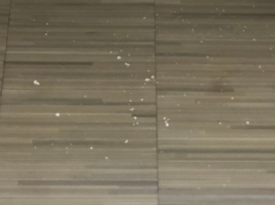 AmericInn by Wyndham Appleton Downtown主图