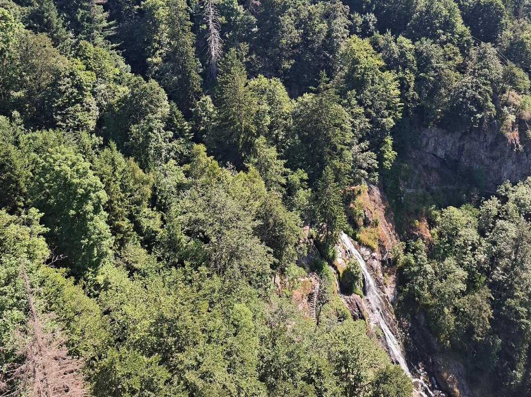 Blackforestline Hangebrucke-托特瑙必去景点