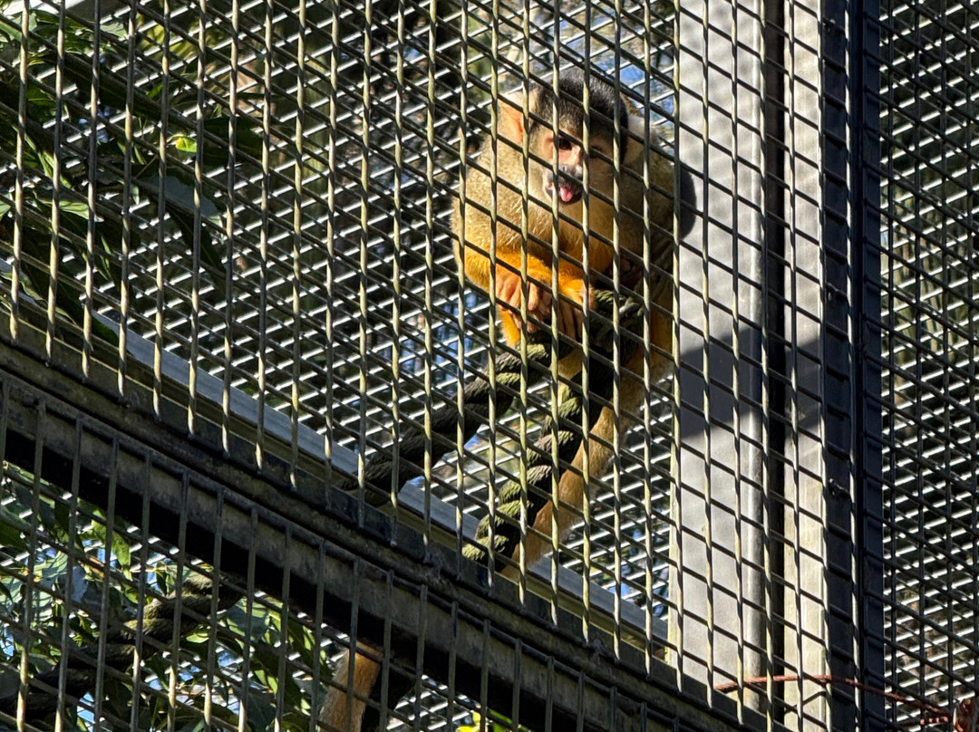 Wildlife HQ Zoo-Woombye必去景点