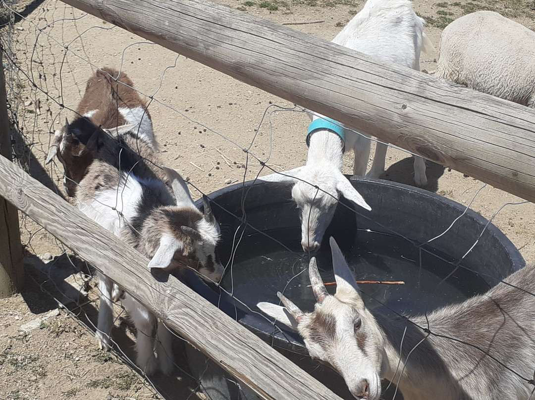 Ferme Pedagogique La Moulerette-Montpeyroux必去景点