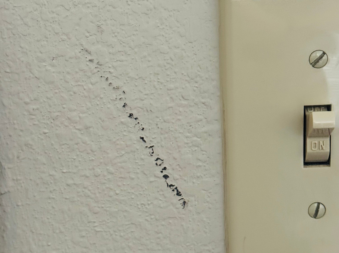 Staybridge Suites Bowling Green By IHG主图