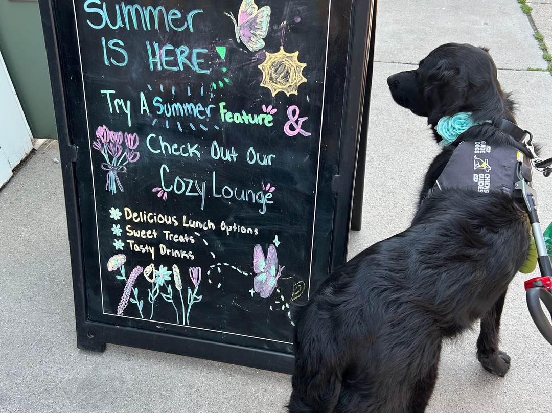 The Shed: A Café by LenJo Bakes