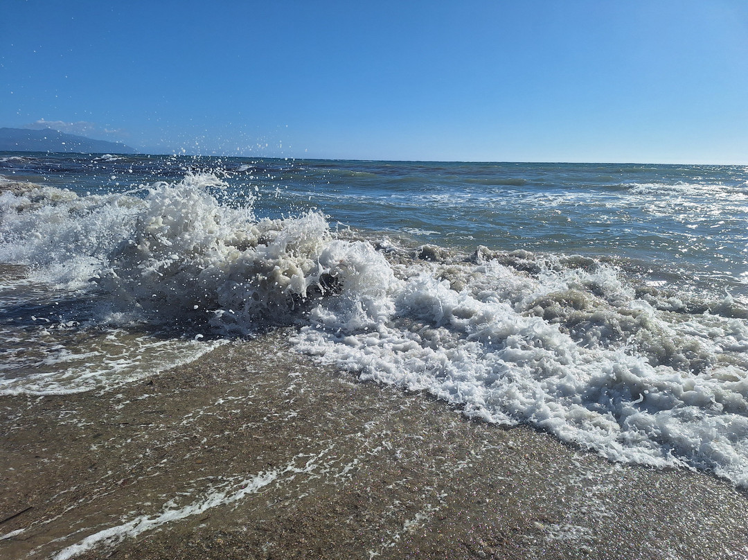 Adonis Hotel & Apartments主图