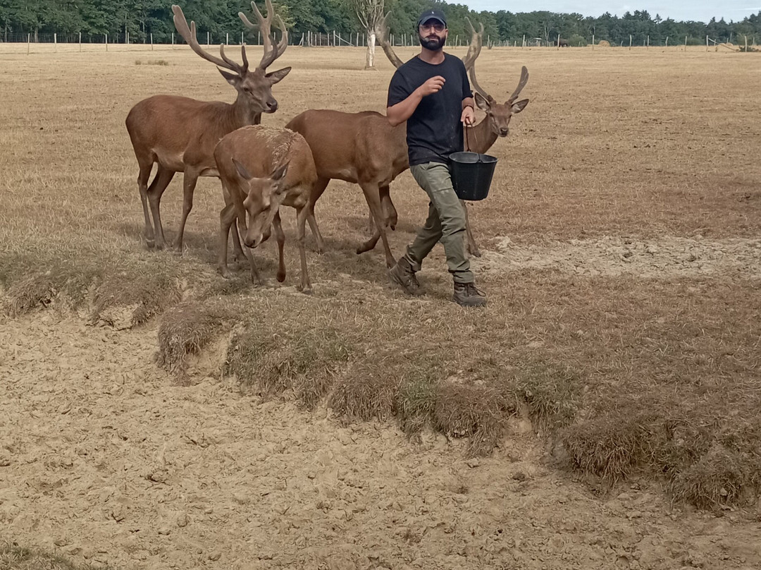 Reserve De Beaumarchais - Safari Train-Autreche必去景点