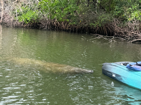Florida Blue Adventures-布雷登顿必去景点