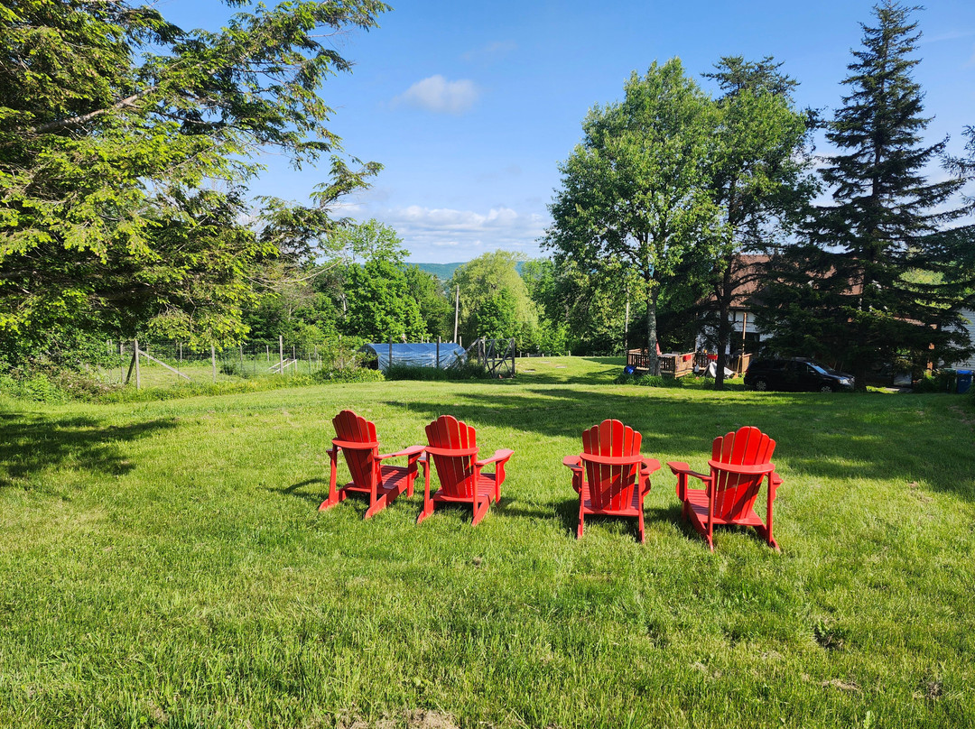 Auberge Schweizer Inn主图