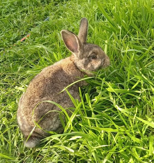 Granja Jacaranda-Carmelo必去景点
