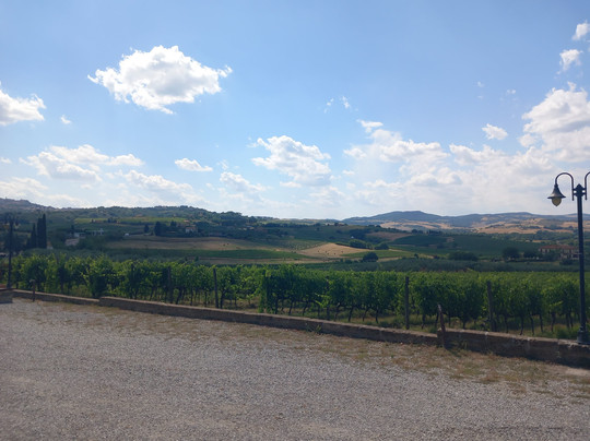 诺托拉别墅酒店主图