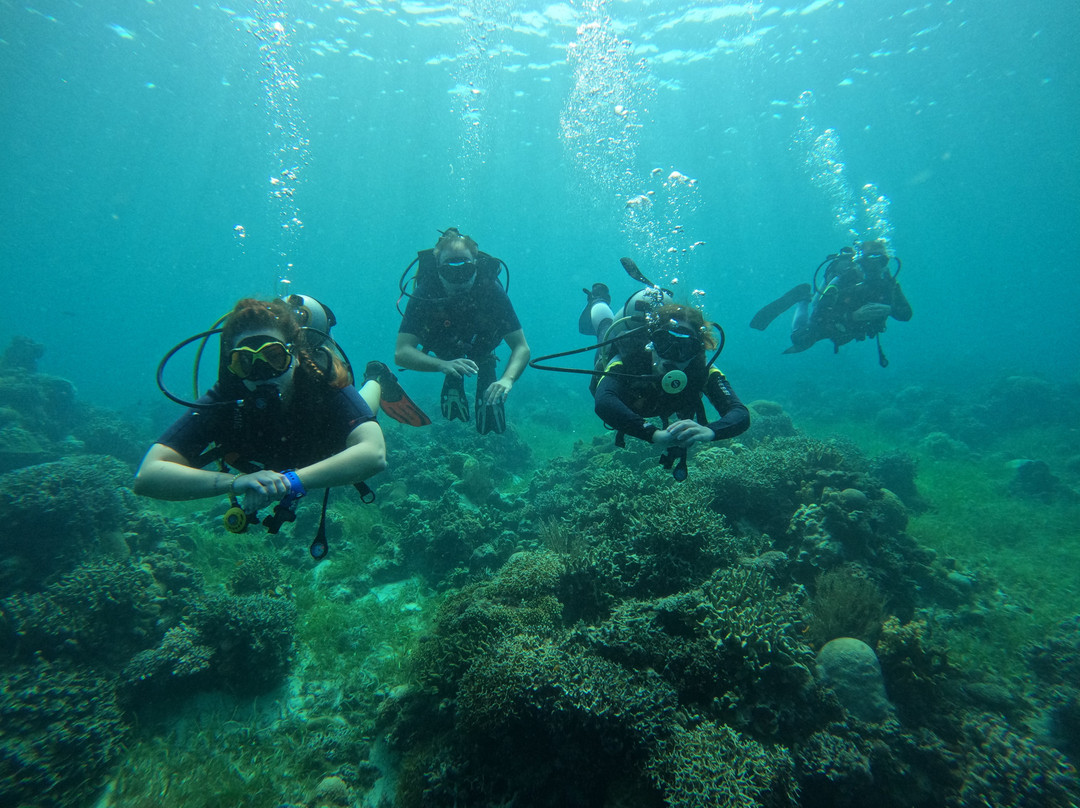 Ohana Diving
