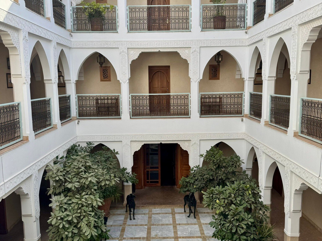 Riad Villa Blanche主图