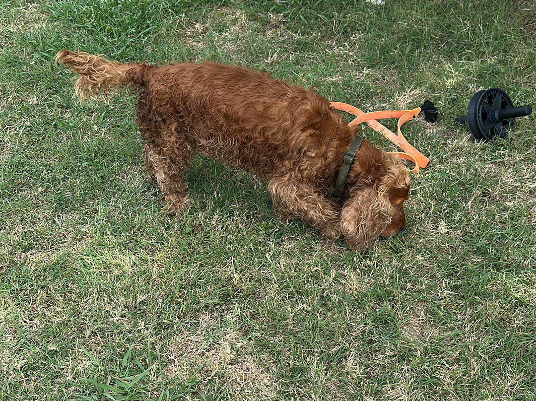 Hotel Portofina主图