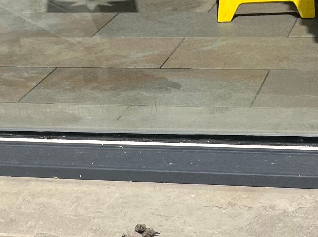 Shrigley Hall Spa-Pott Shrigley必去景点