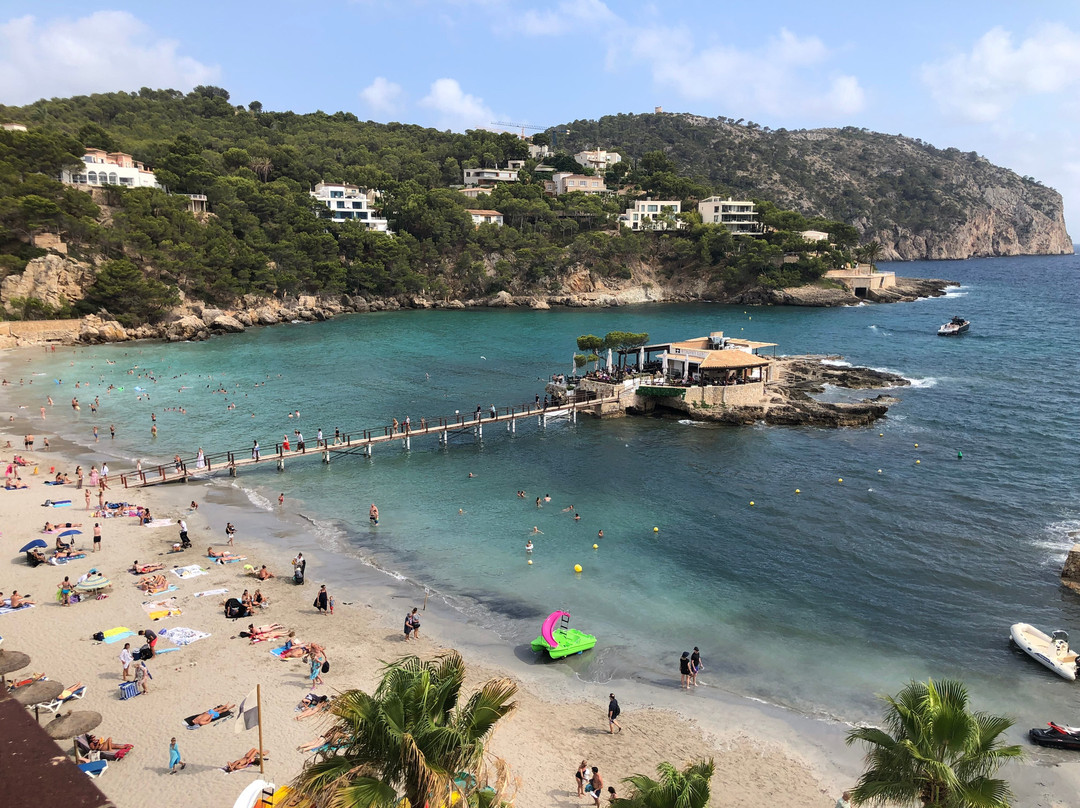 Grupotel Playa Camp de Mar主图