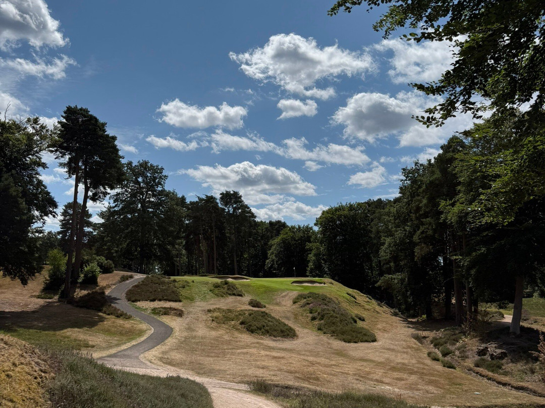 St George's Hill Golf Club-威布里治必去景点