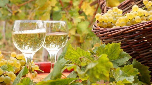 Explore Lechkhumi&Imereti-库塔伊西必去景点