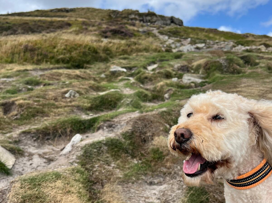 Sugarloaf Mountain-阿伯加文尼必去景点