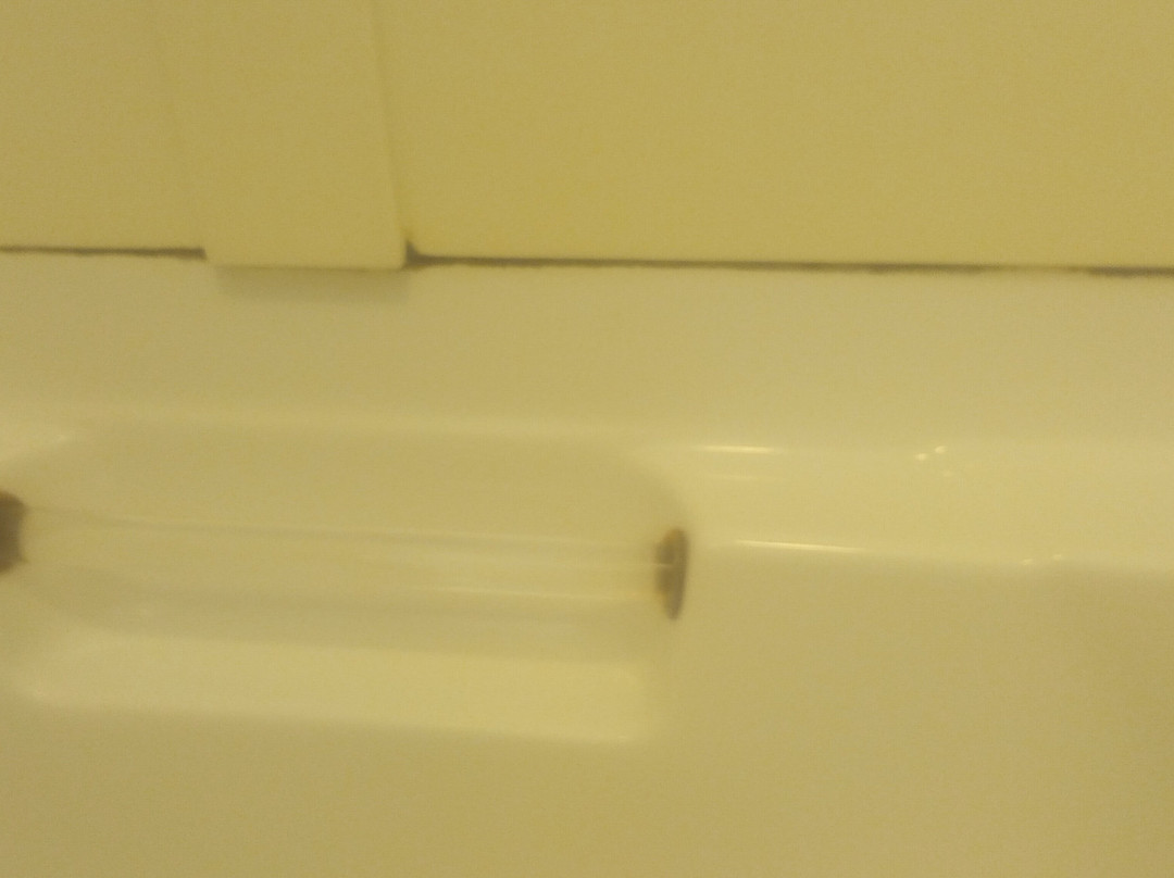 Essenhaus Inn & Conference Center主图