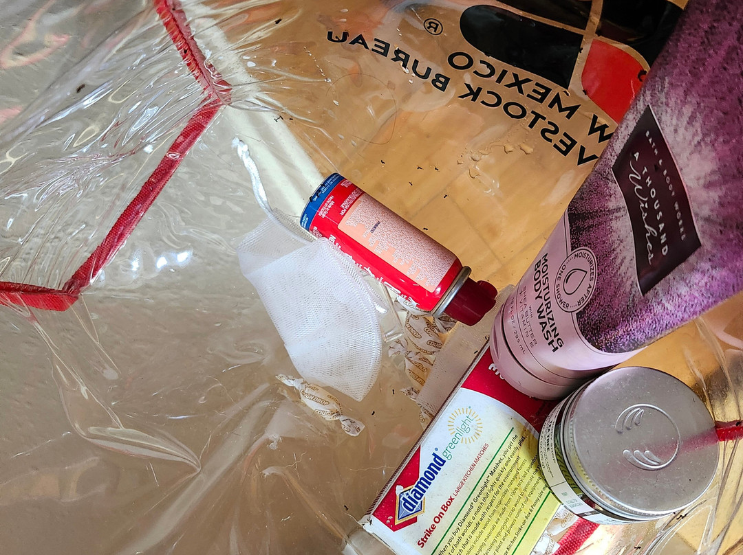 Laughing Lizard Inn主图