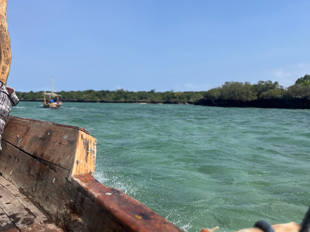 Madiba Tour Zanzibar & Safari-Matemwe必去景点