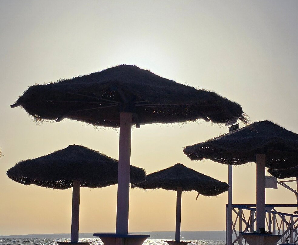 Toluammare
