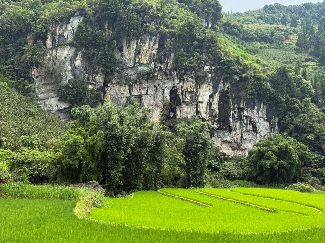 Pang Local Guide Bac Ha-Bac Ha必去景点