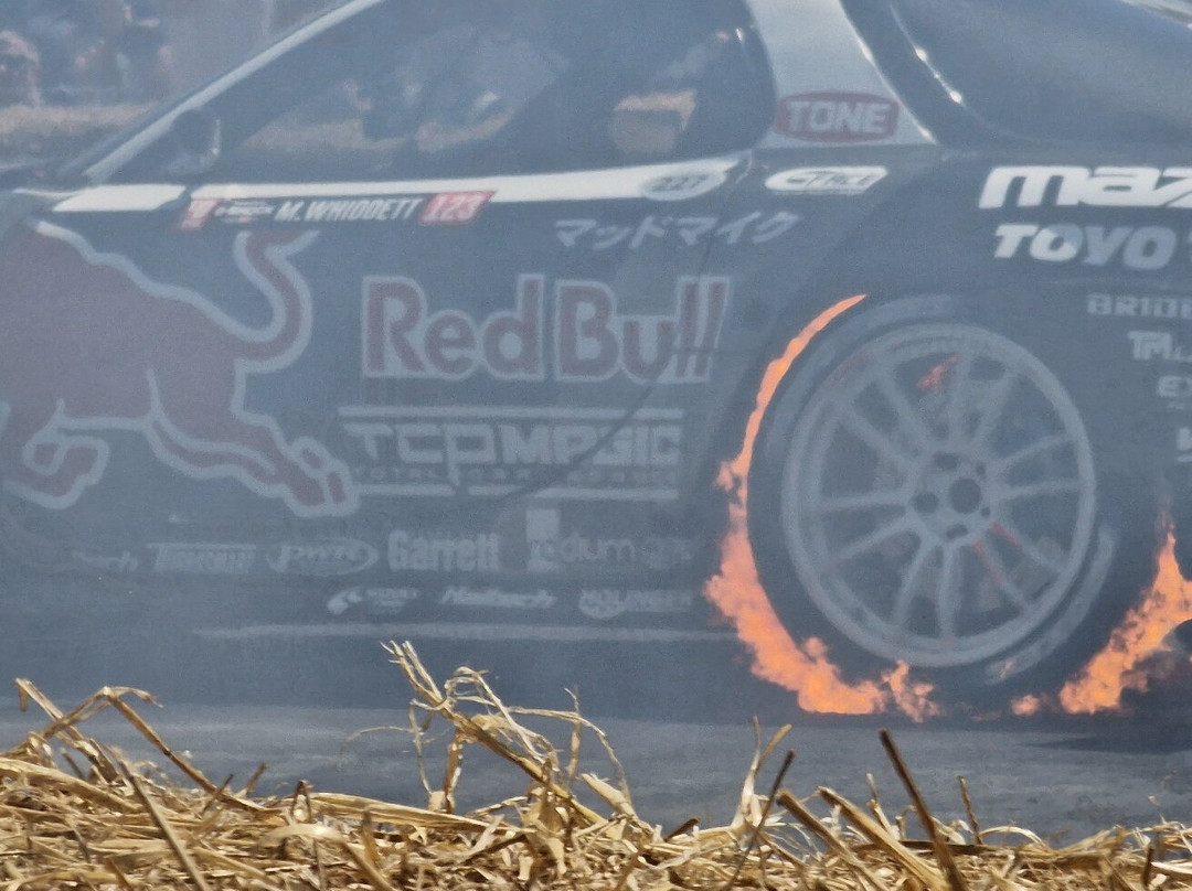 Goodwood Motor Circuit-奇切斯特必去景点