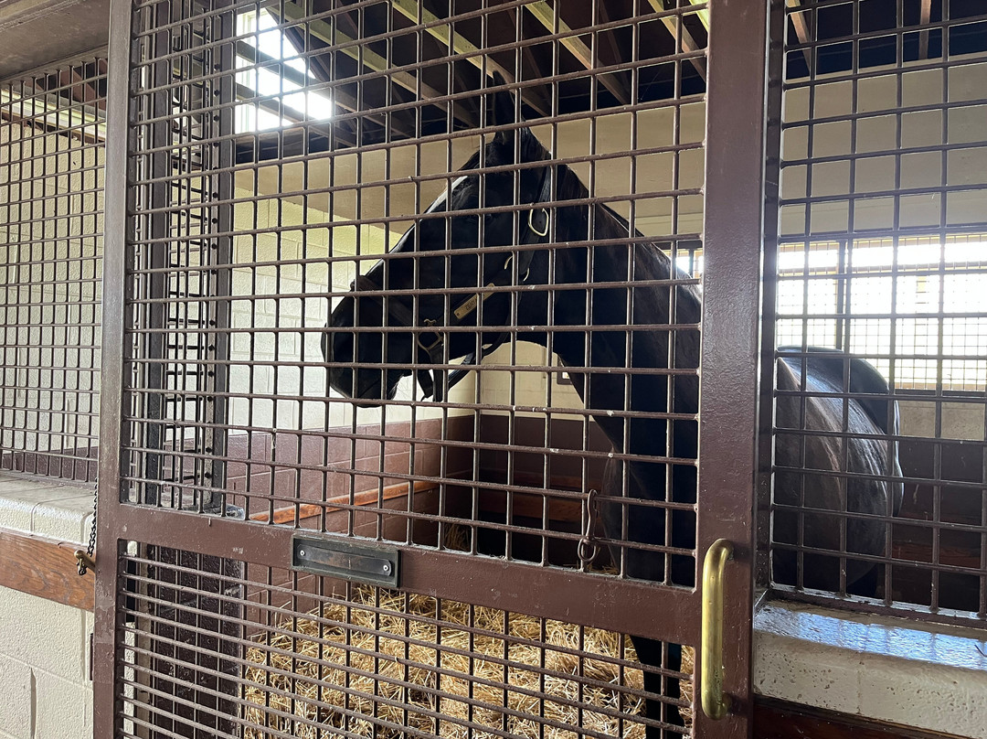 Lane's End-Versailles必去景点