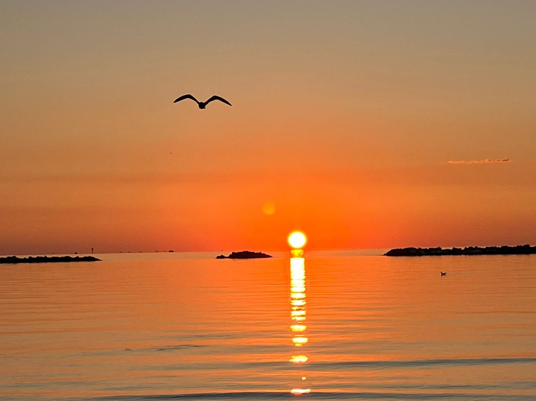 Praia Brasil-切塞纳蒂科必去景点