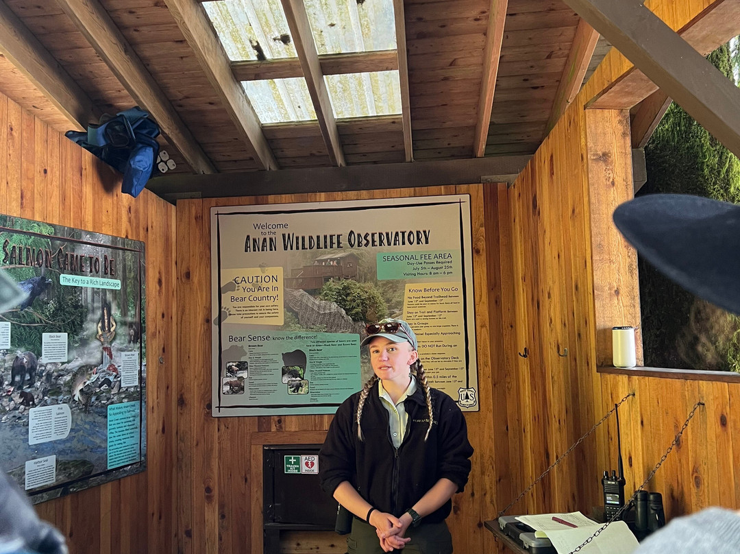 Anan Creek Bear Observatory-Wrangell必去景点