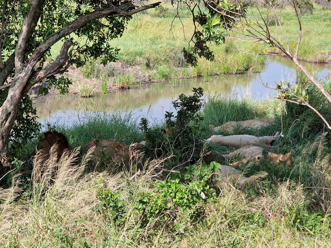 SunUp Adventures-内罗毕必去景点