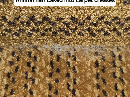 Extended Stay America - Philadelphia - Horsham - Dresher Rd.主图