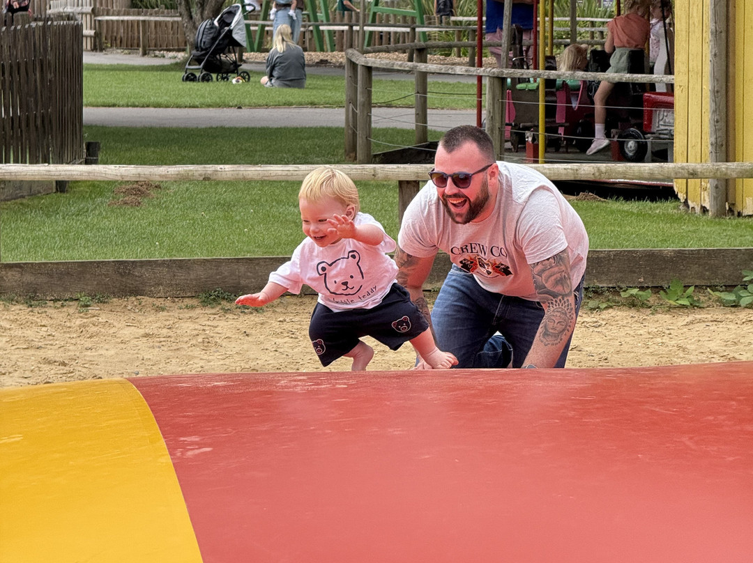 Fishers Farm Park-Wisborough Green必去景点