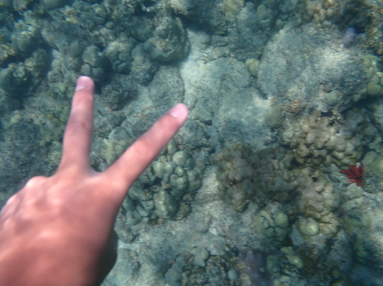 海洋天堂之旅-凯鲁瓦-柯纳必去景点